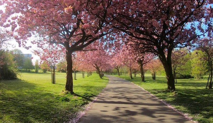 Wavertree Botanic Gardens, United Kingdom